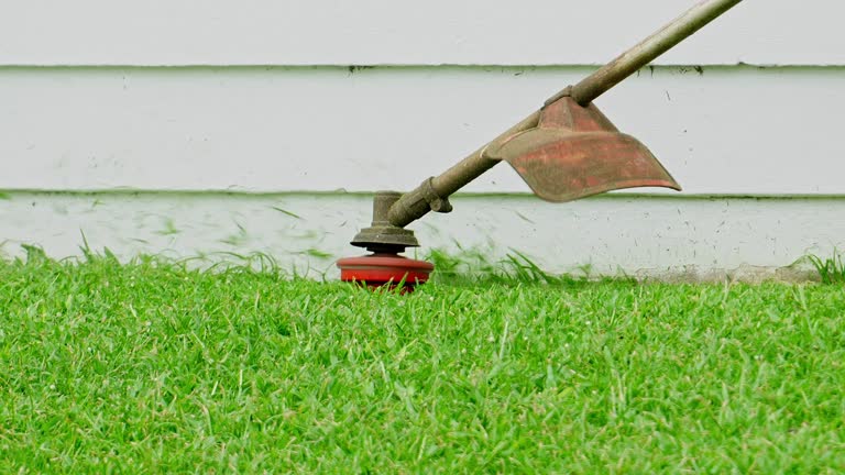 Best Tree Preservation Services  in Hillsville, VA