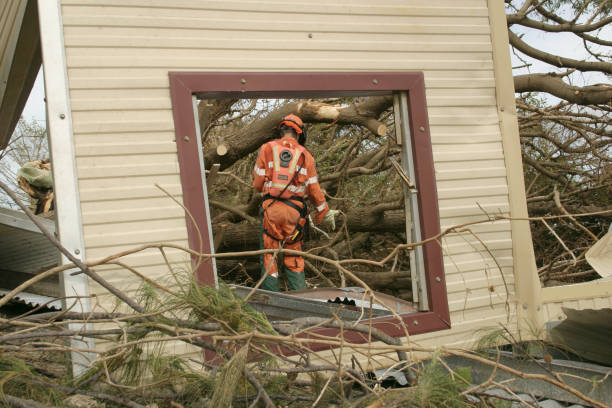Best Storm Damage Tree Cleanup  in Hillsville, VA